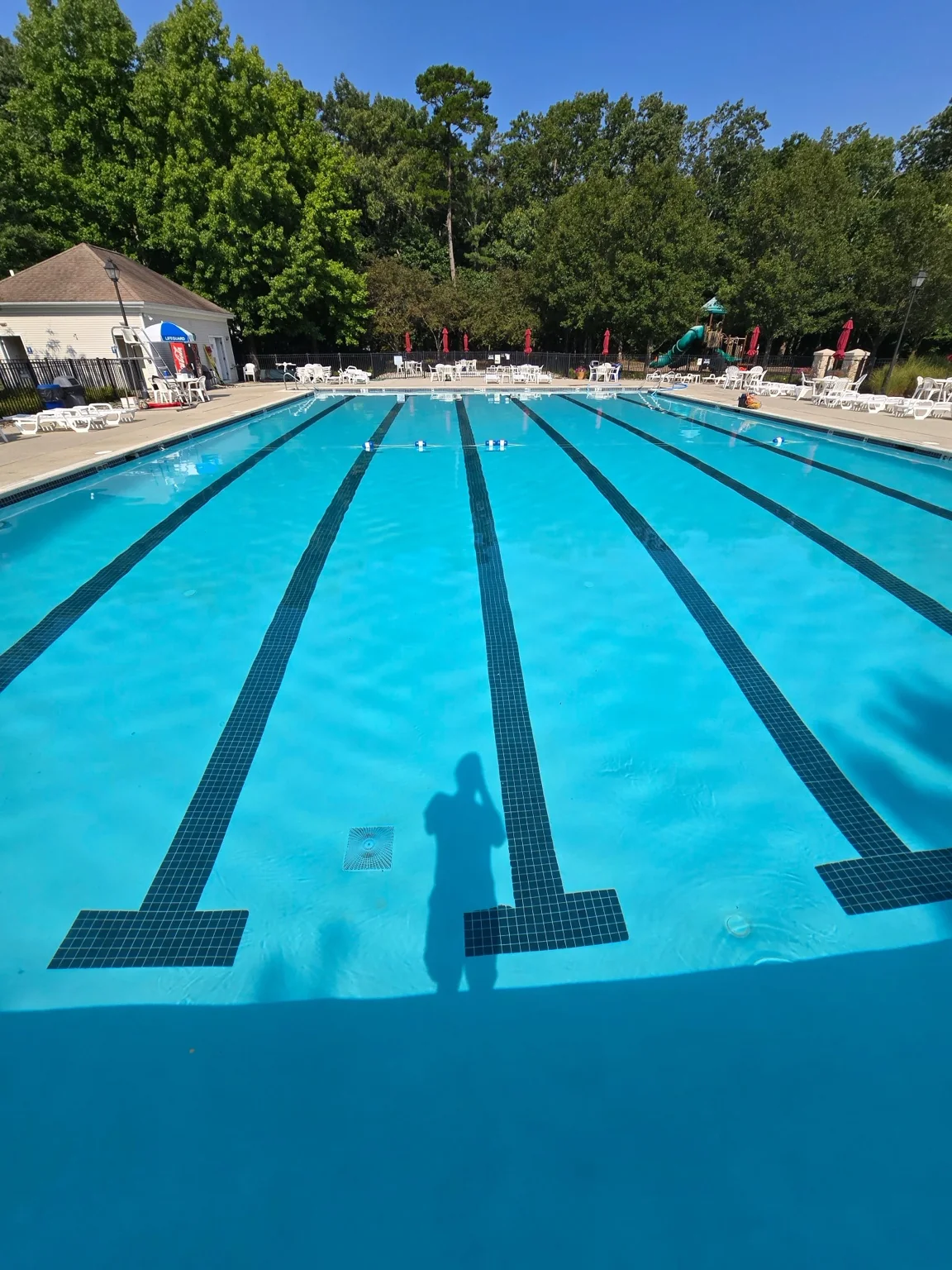 Commercial lap pool